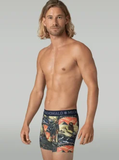 Heren 2-pack Boxershorts Ancient Civilizations