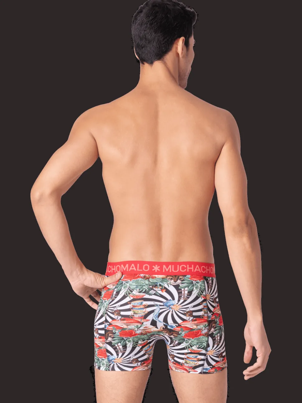 Heren 2-pack Boxershorts Jackbean Alicewonder