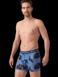 Heren 2+2-pack Boxershorts Print
