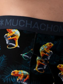 Heren 3-pack Boxershorts Print/Effen