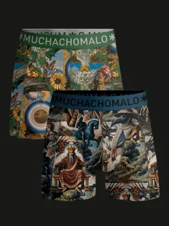 Heren 2-pack Boxershorts Premodern