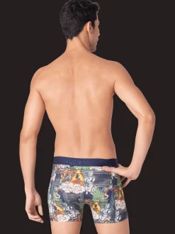 Heren 2-pack Boxershorts Pussboots Wizardoz