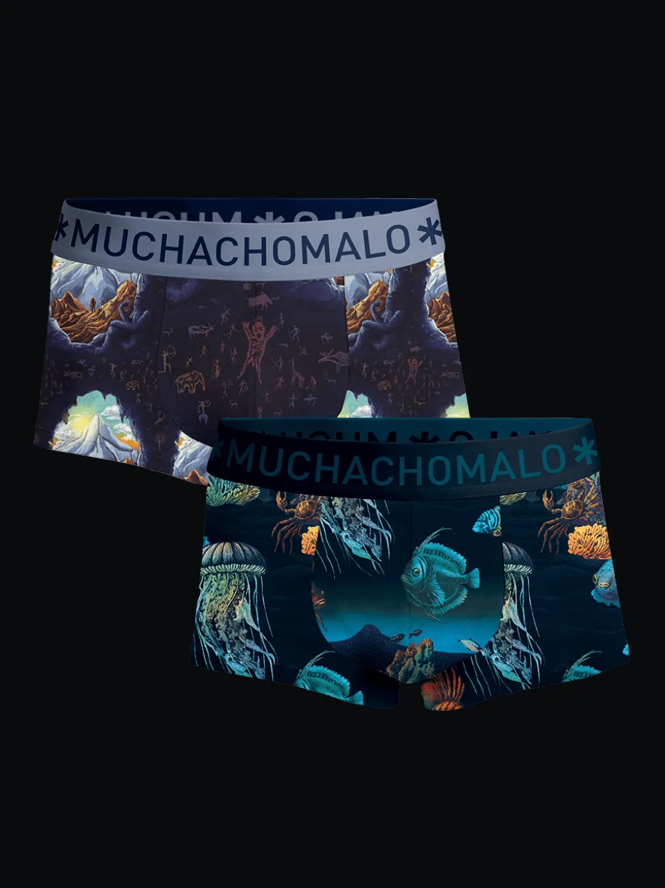 Heren 2-pack Trunks Deep Sea Mountaintops