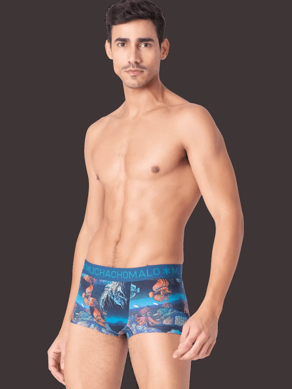 Heren 2-pack Trunks Deep Sea Mountaintops