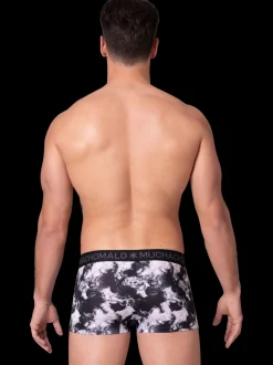 Heren 2-pack Trunks Fire Elements