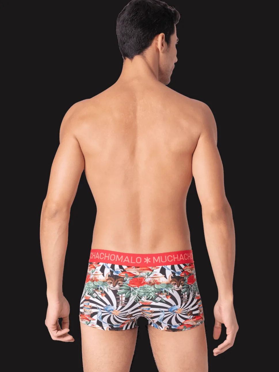 Heren 3-pack Trunks Jackbean Alicewonder