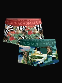 Heren 2-pack Trunks Jackbean Alicewonder