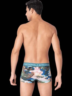 Heren 2-pack Trunks Jackbean Alicewonder