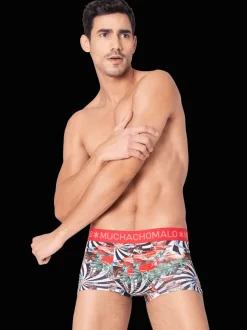 Heren 2-pack Trunks Jackbean Alicewonder