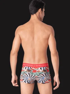 Heren 2-pack Trunks Jackbean Alicewonder