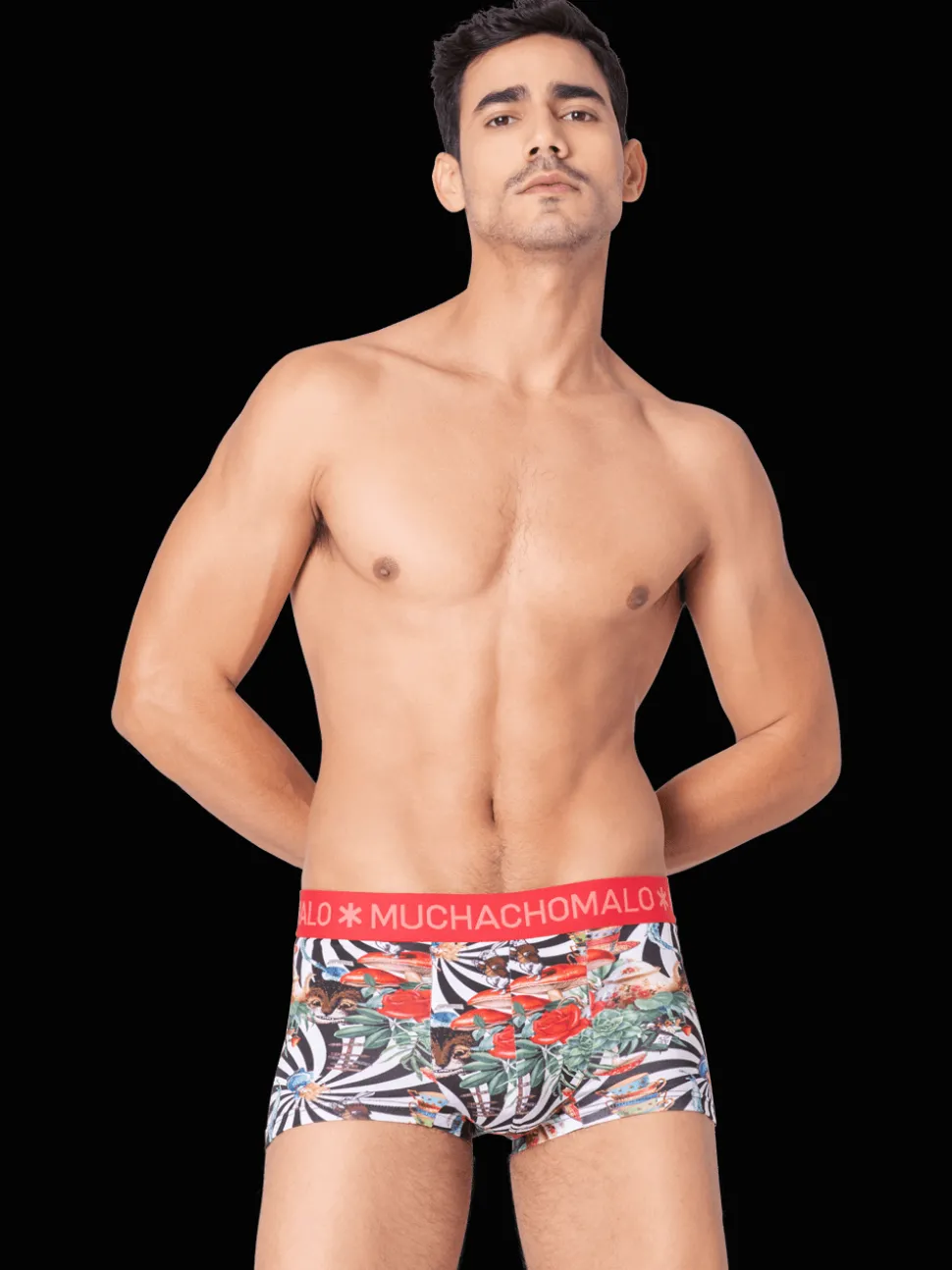 Heren 2-pack Trunks Jackbean Alicewonder
