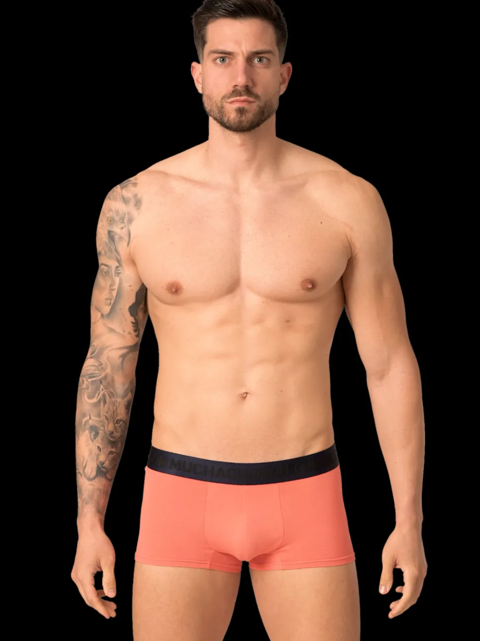 Heren 4-pack Trunks Leafs Lick it