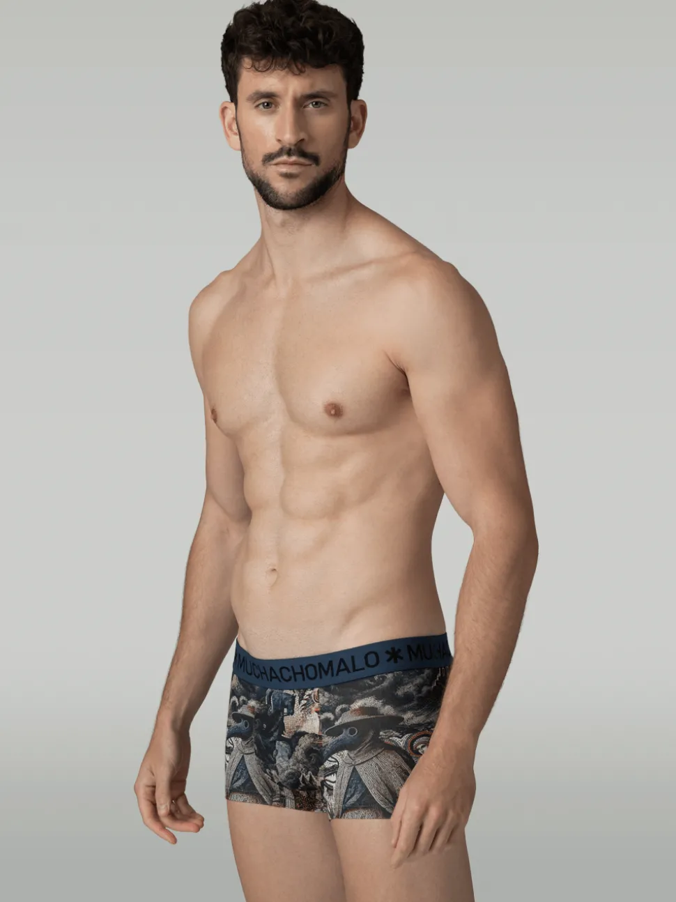 Heren 3-pack Trunks Premodern