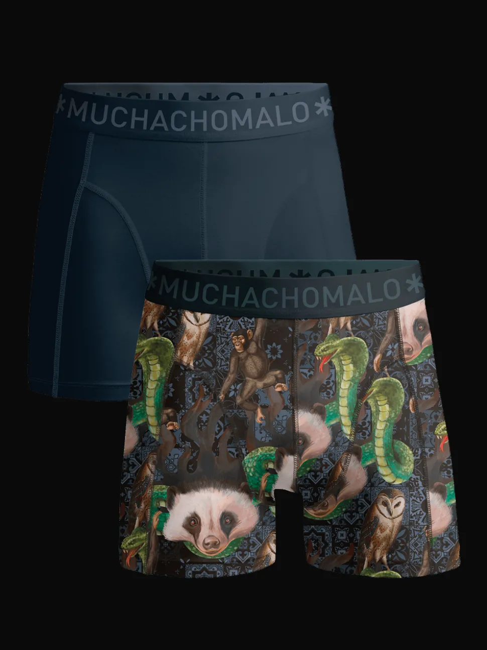 Jongens 2-pack Boxershorts