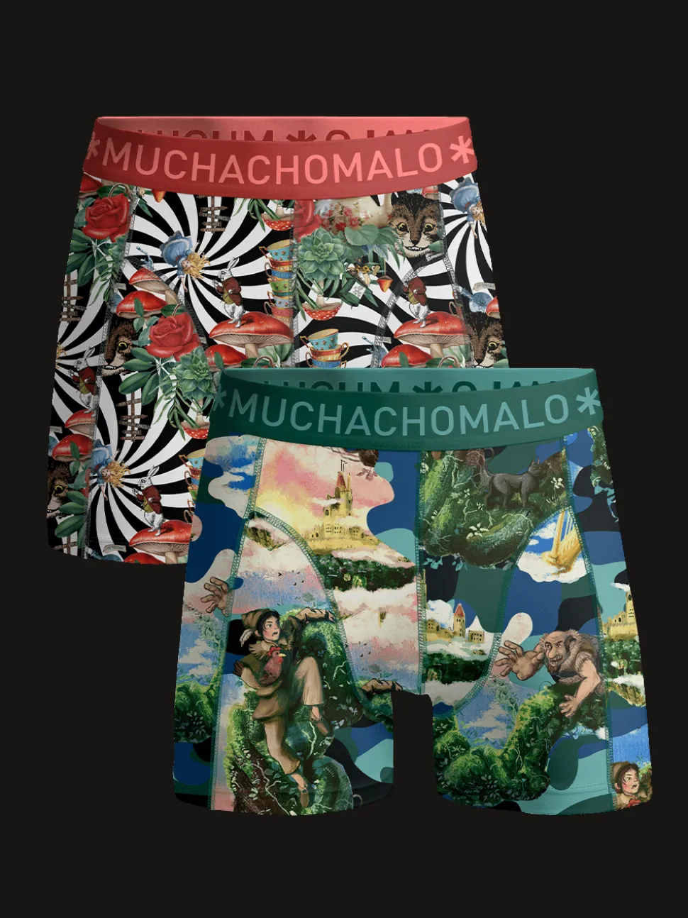 Jongens 2-pack Boxershorts Jackbean Alicewonder