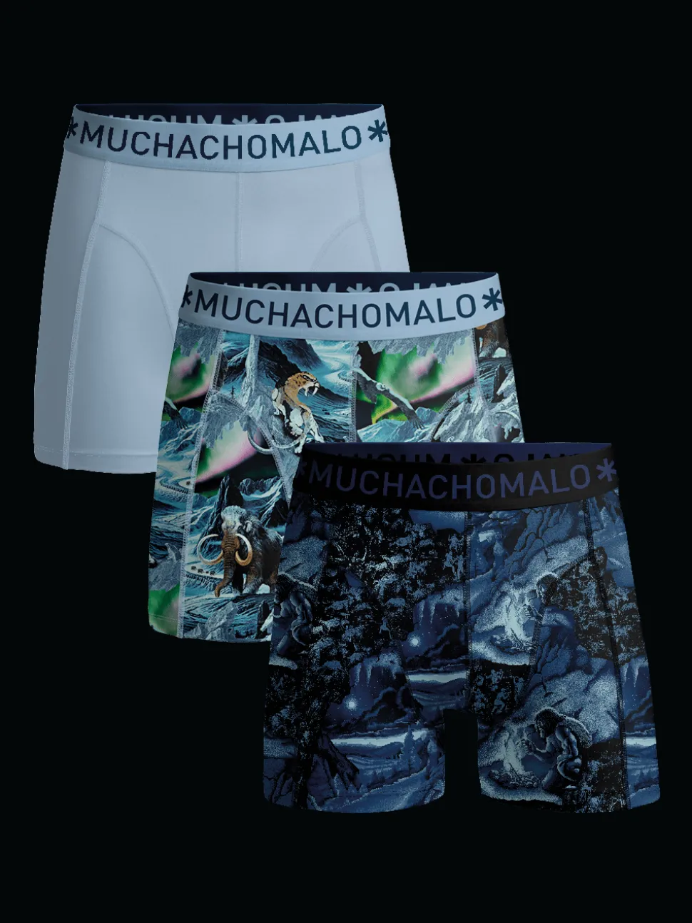 Jongens 3-pack Boxershorts Prehistory
